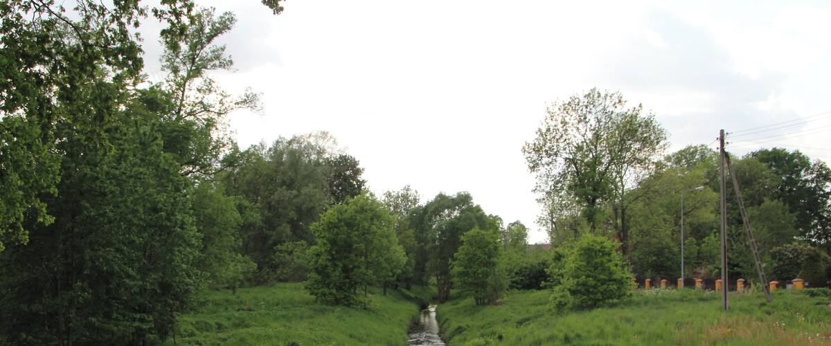 A narrow waterway flanked by lush green grass and trees.