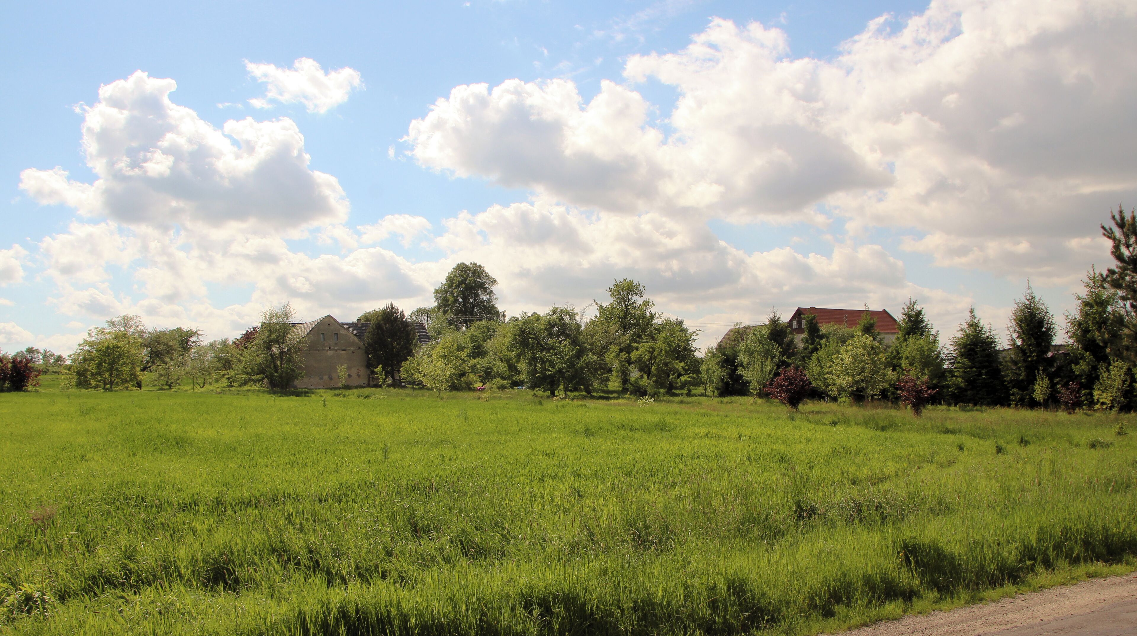 Trójca – wieś w Polsce, w województwie dolnośląskim, w powiecie zgorzeleckim, w gminie Zgorzelec.