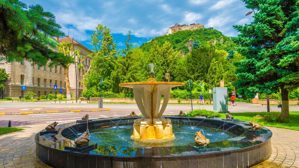 A fountain with frogs, surrounded by trees and a building in the background.