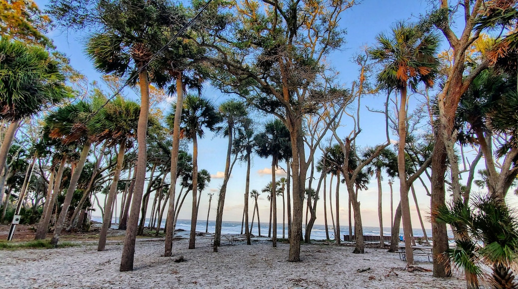 Beautiful place for evening sunset