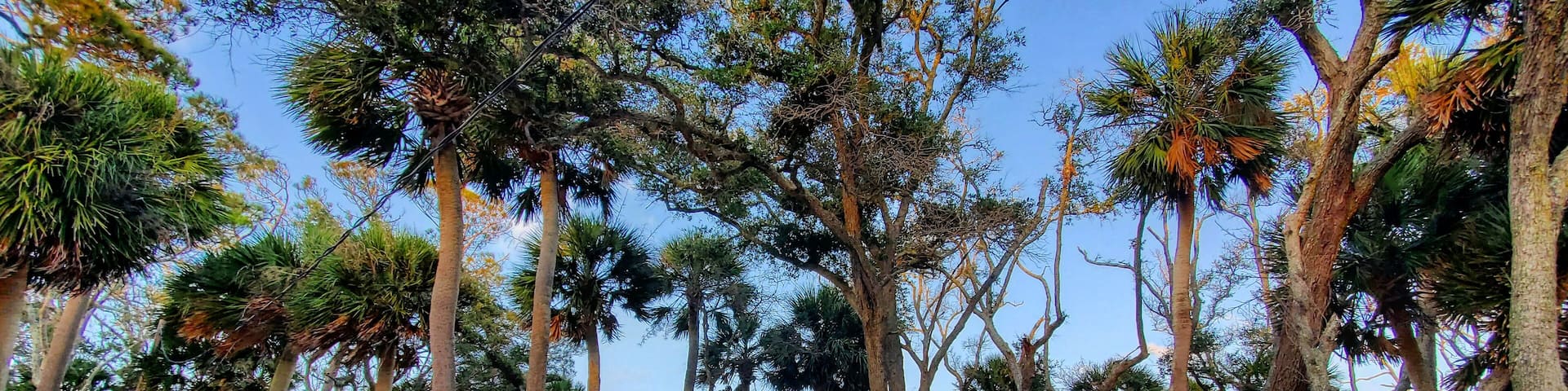 Beautiful place for evening sunset