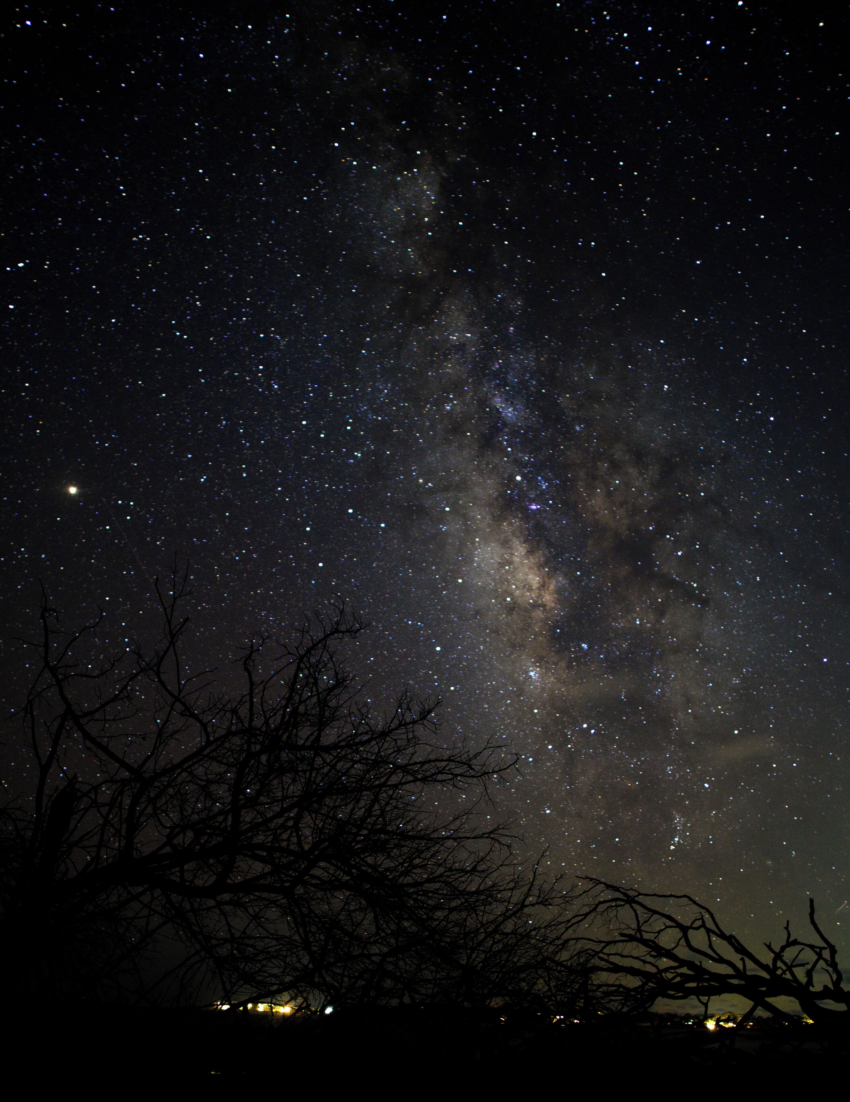 South Side of Hunting Island, shooting the Milky Way through some of the drift wood trees on the beach.