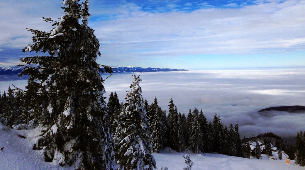 #nationalpark Postavaru Romania