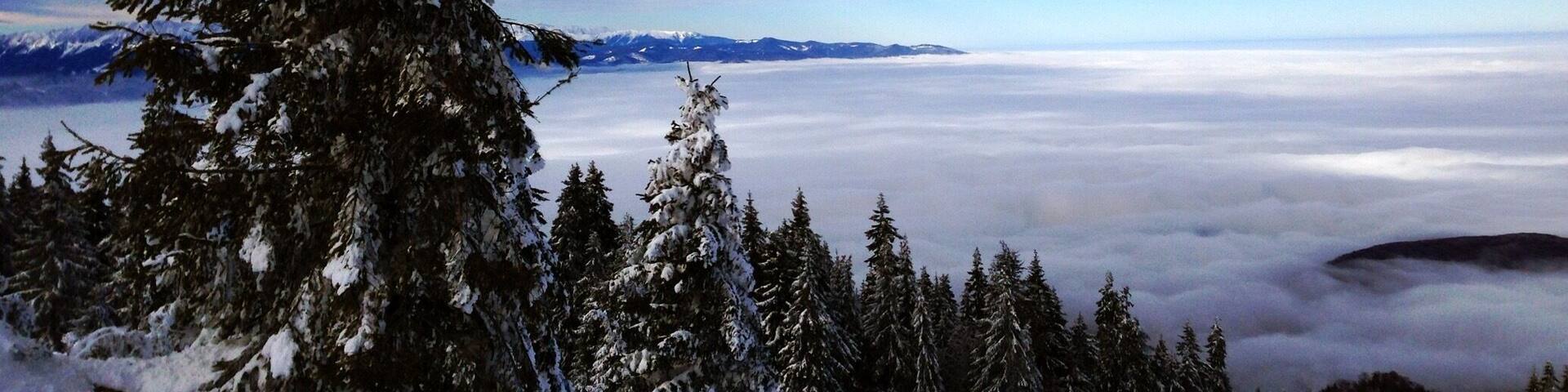 #nationalpark Postavaru Romania