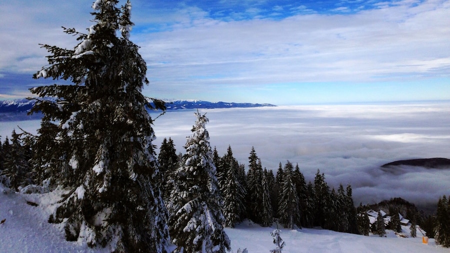 #nationalpark Postavaru Romania