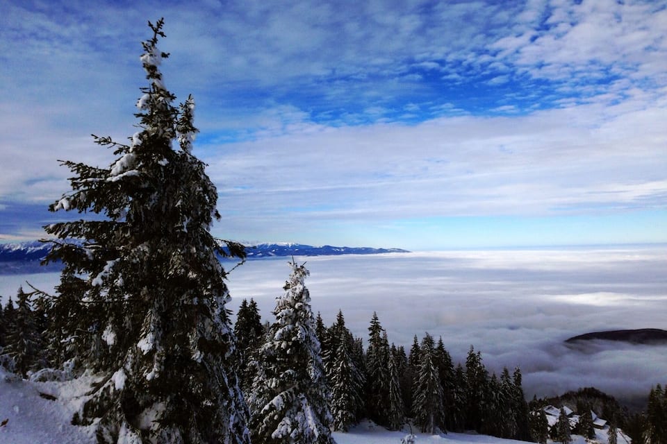 A snow-covered mountain landscape with evergreen trees and a clear sky.