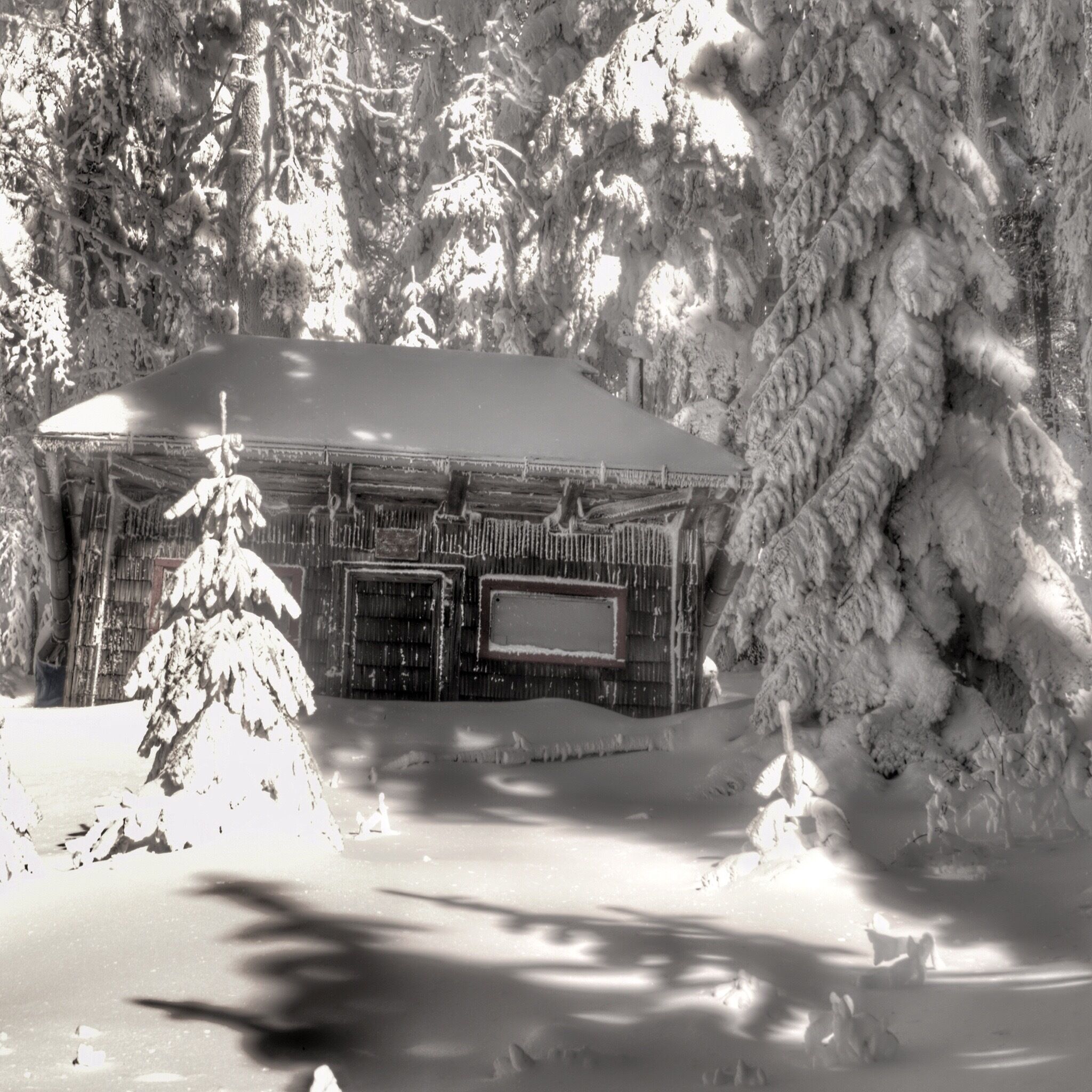 #nationalpark - Poiana Brasov, Romania