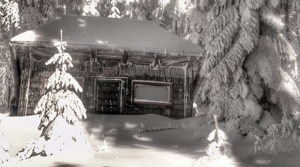 #nationalpark - Poiana Brasov, Romania