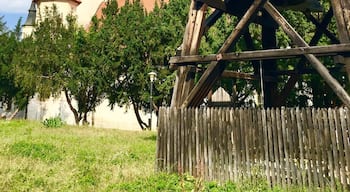 Pretty church, Braşov