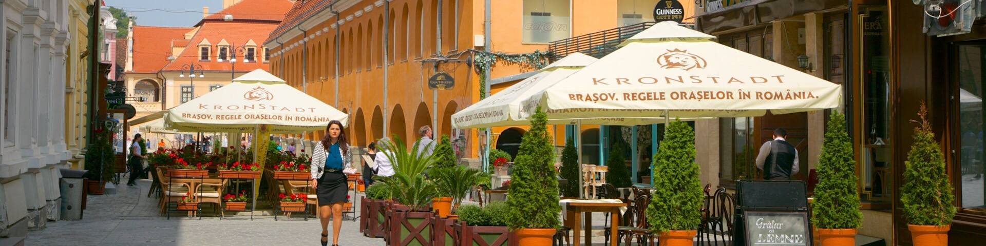 Brasov mostrando uma cidade e cenas de cafeteria assim como uma mulher sozinha
