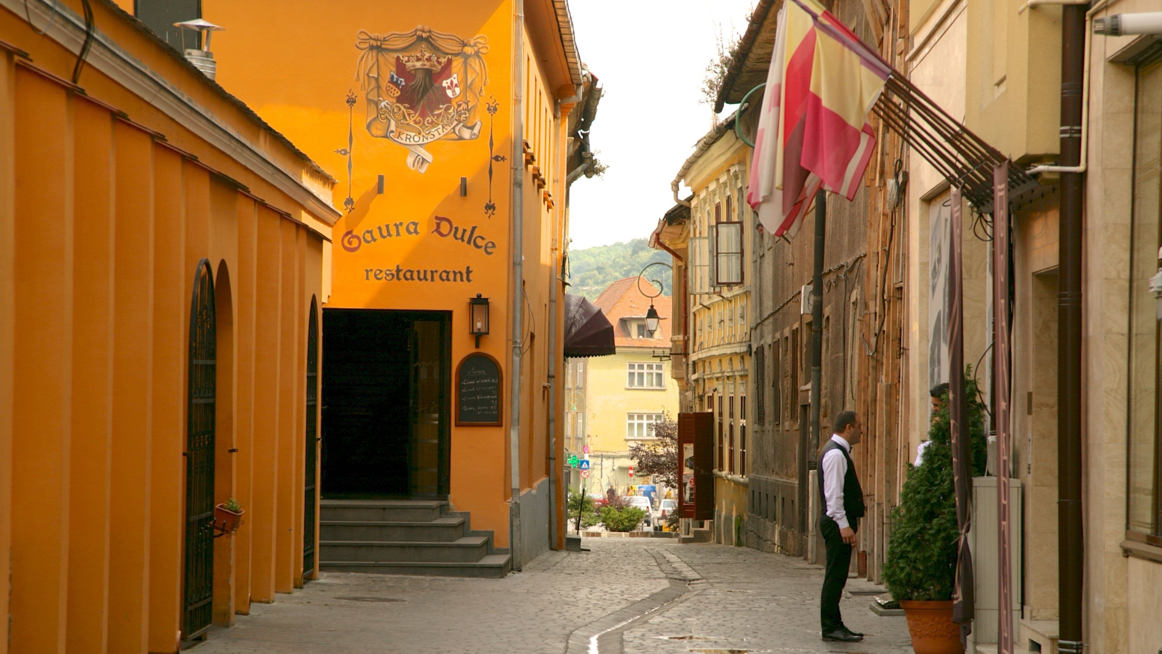Brasov featuring signage, street scenes and a city