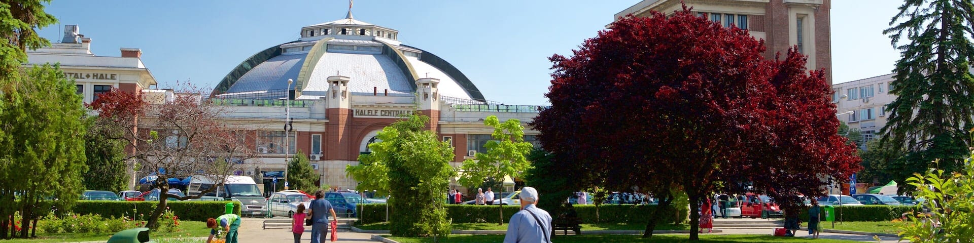 Ploiesti som inkluderar en park