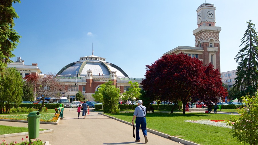 Ploiesti showing a garden