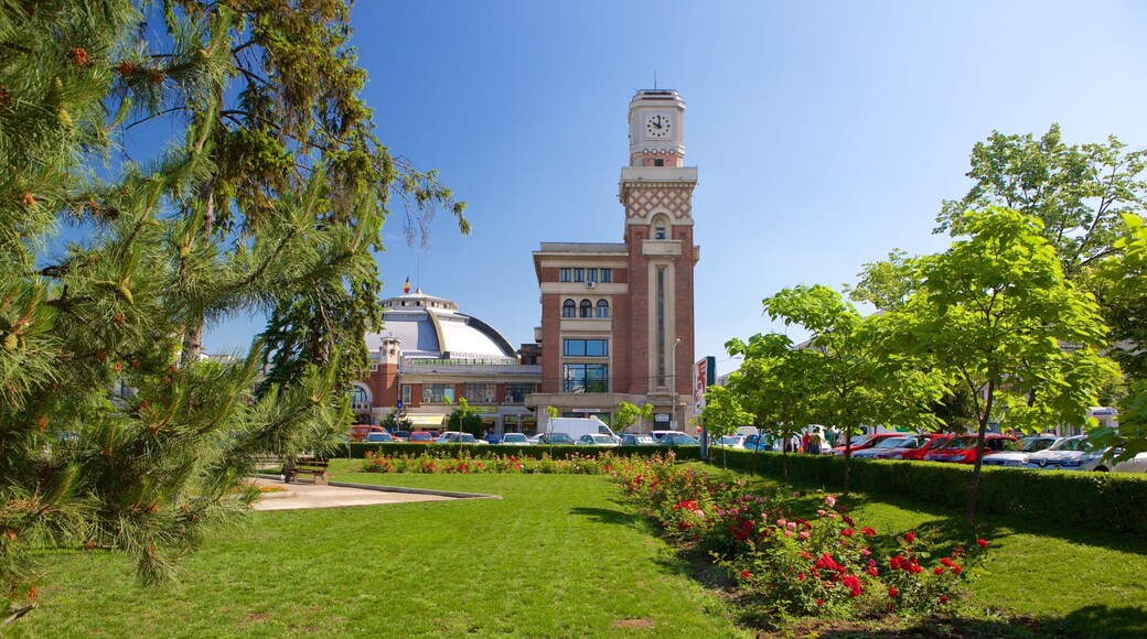 Ploiesti fasiliteter samt hage