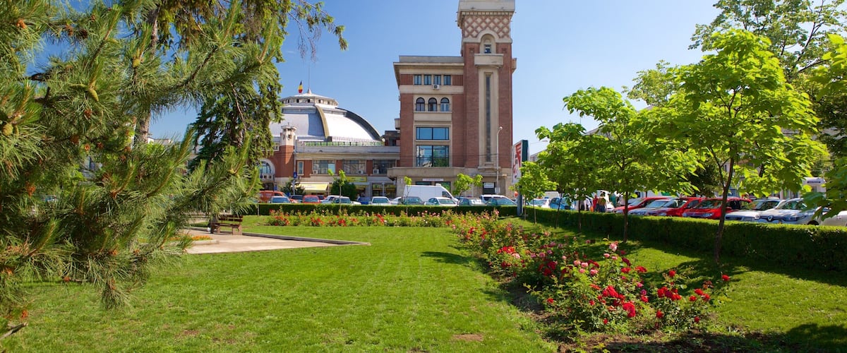 Ploiesti showing a garden