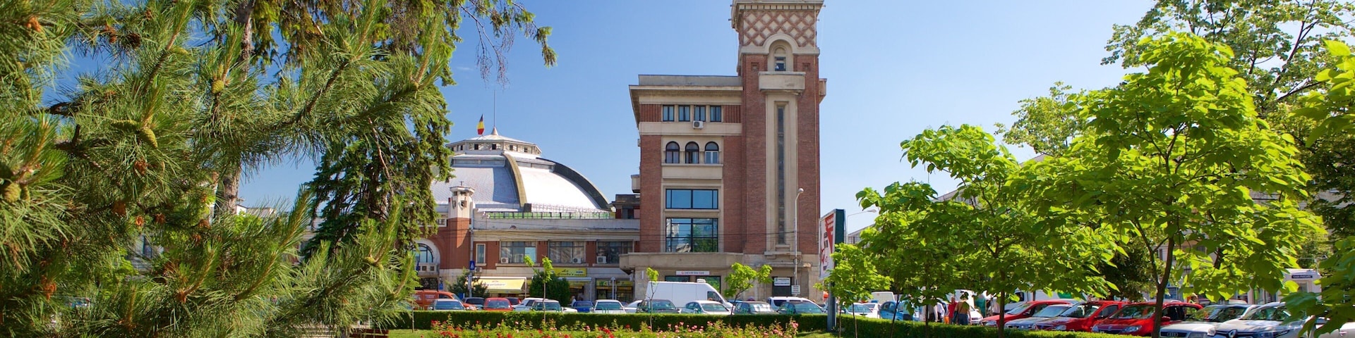 Ploiesti showing a garden