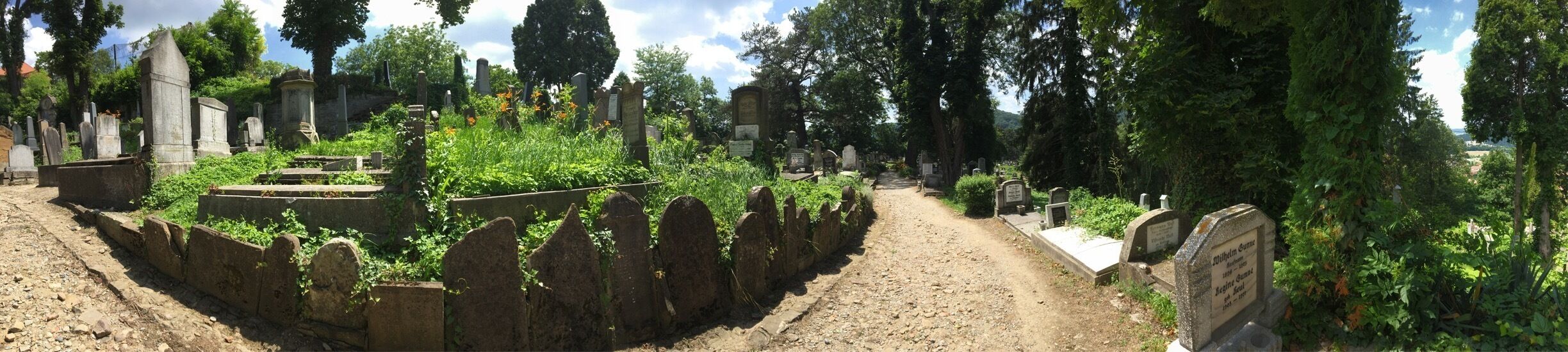 Fallen headstones turned into the border of a walkway in a cemetery in Sighisoara, Romania 