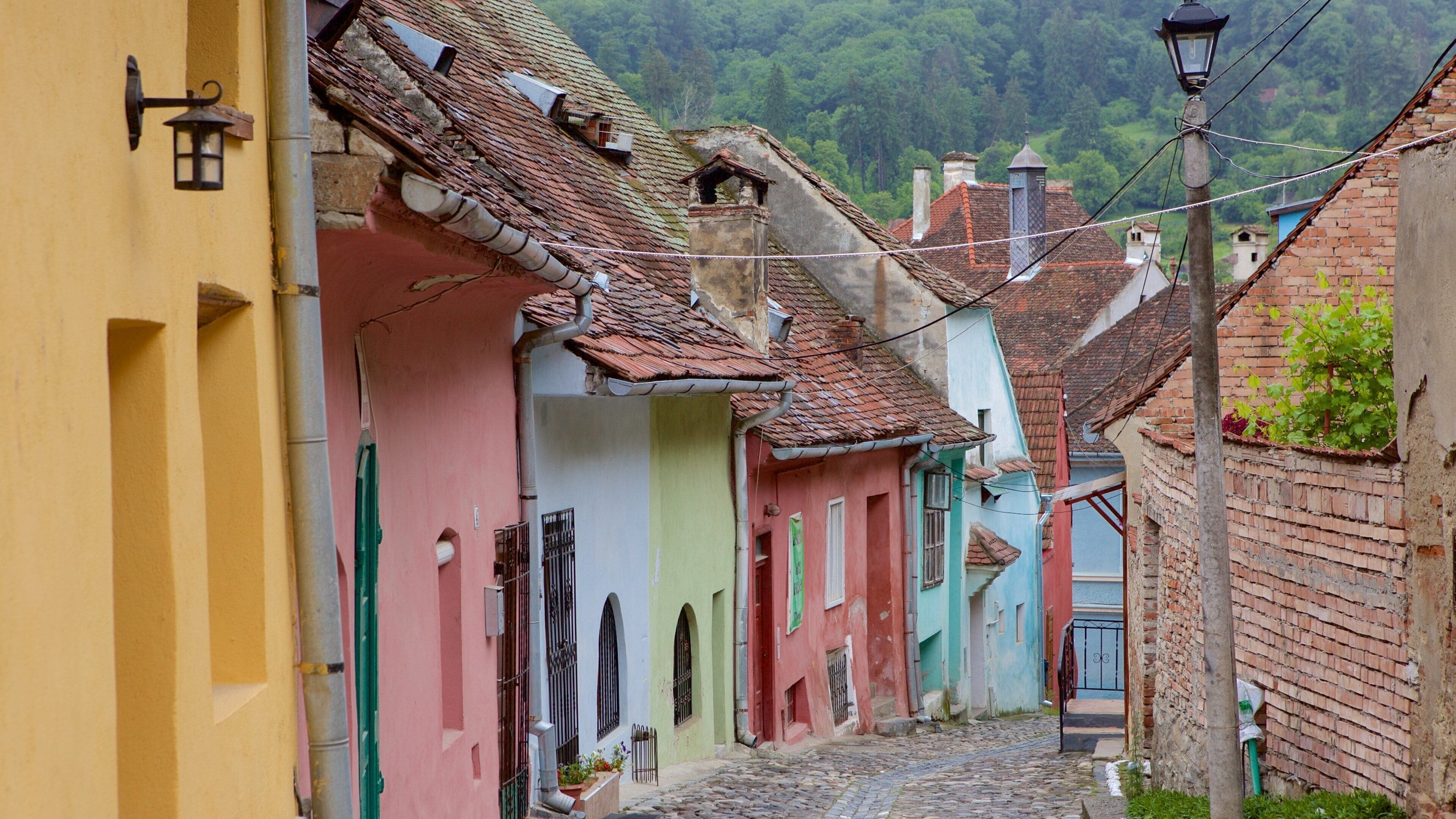 Sighisoara which includes a house and heritage architecture