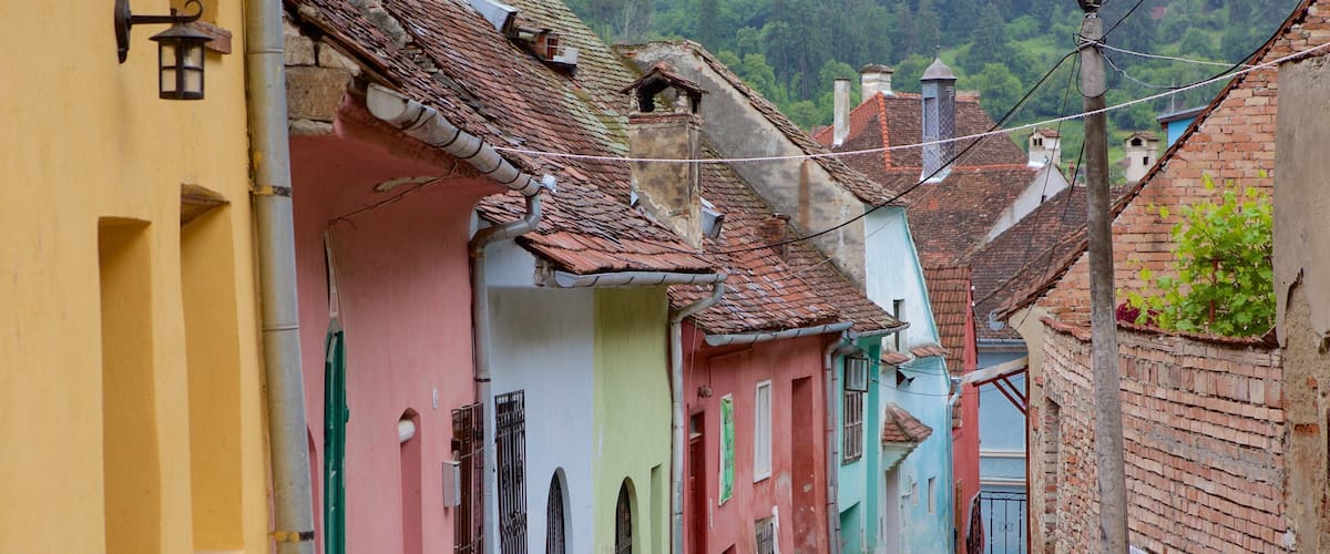 Sighisoara showing heritage architecture and a house