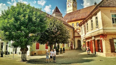 Une place historique, ornée d’un imposant beffroi, de bâtiments traditionnels et d’un grand arbre qui offre de l’ombre.