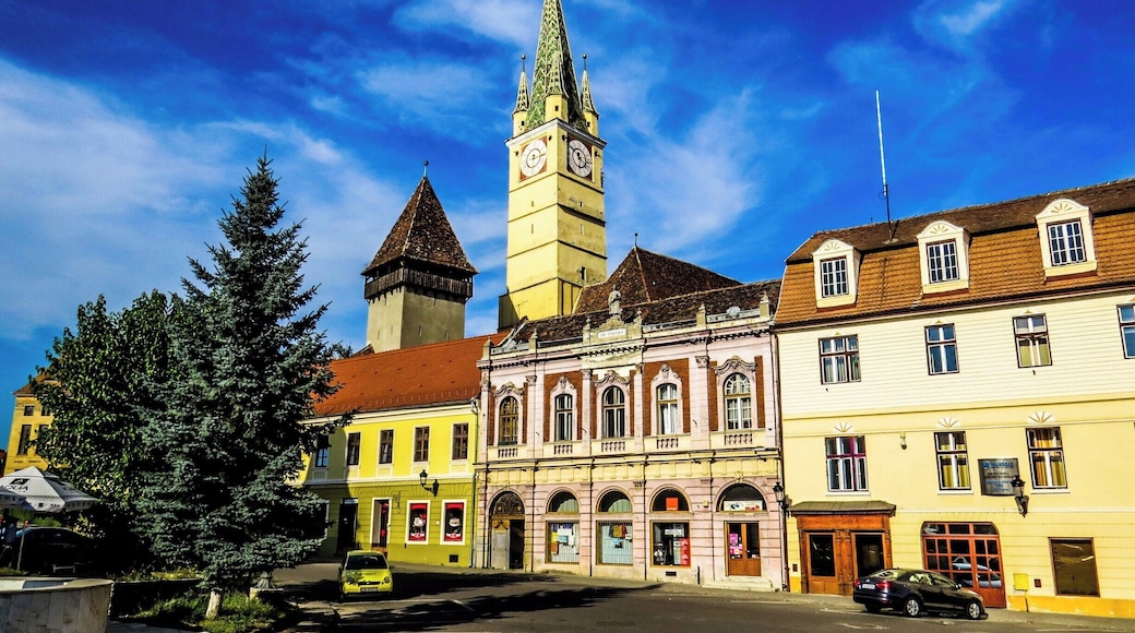 Medias, located in the middle basin of Târnava Mare River, at 39 km from Sighisoara, Transylvania region, Romania.