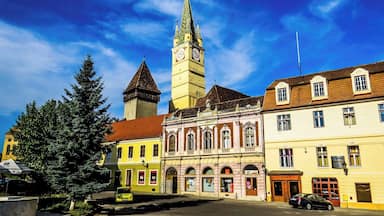 Medias, located in the middle basin of Târnava Mare River, at 39 km from Sighisoara, Transylvania region, Romania.