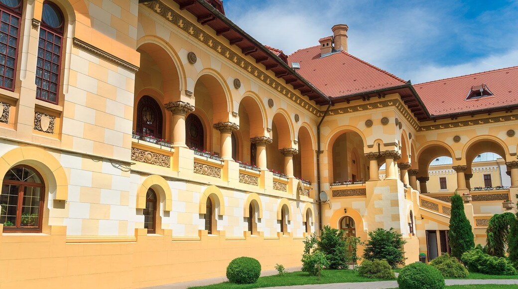 Pavilion and Gallery of the Orthodox Church in Alba Iulia. There's ancient Roman artifacts you can check out in the Galleries.
http://www.alwayswanderlust.com/alba-iulia-alba-fest-alba-carolina/