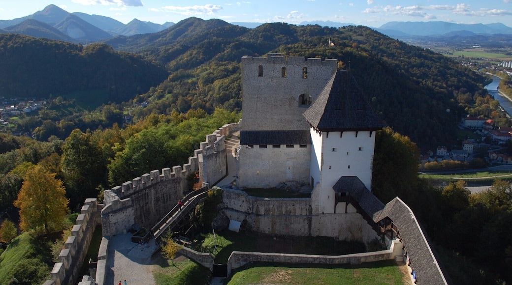 The old castle (Stari grad) in Celje is situated high on a hill that overlooks the town of Celje and the Savinja River valley.
Entrance to the castle is €4 - this includes a small permanent exhibition on torture in the middle ages, a look at an old printing workshop, the castle tower, and fantastic views.
#castle #nature #instone