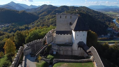 A medieval castle with a moat and a town in the background.