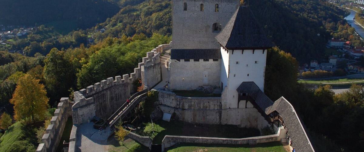 A medieval castle with a moat and a town in the background.