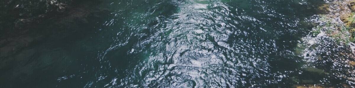 Beautiful hike in the Vintgar gorge close to Bled. Lovely and peaceful walk. #troveon #travel #hiking #slovenia #nature