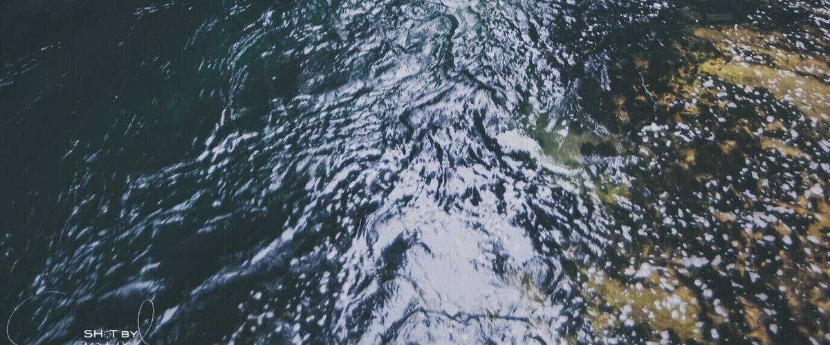 Beautiful hike in the Vintgar gorge close to Bled. Lovely and peaceful walk. #troveon #travel #hiking #slovenia #nature