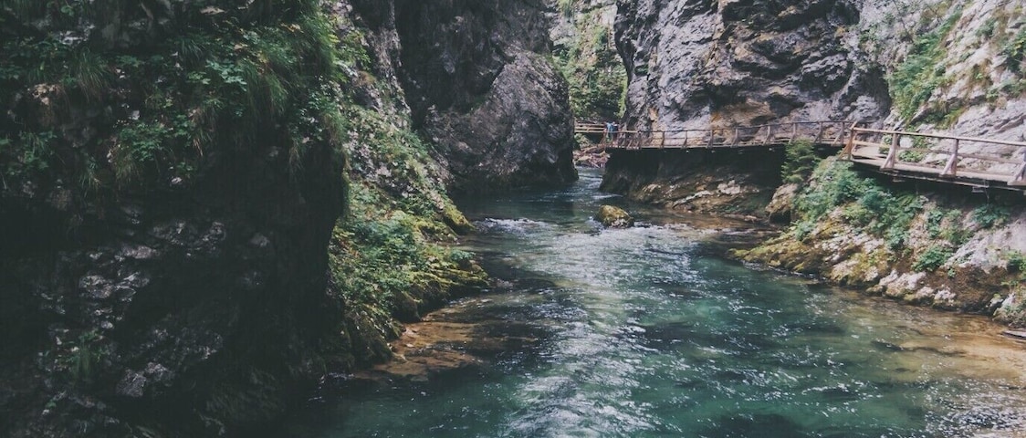 Beautiful hike in the Vintgar gorge close to Bled. Lovely and peaceful walk. #troveon #travel #hiking #slovenia #nature