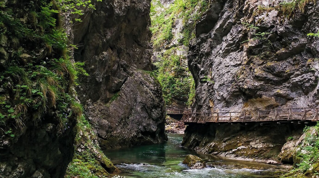 Vintgar Gorge
