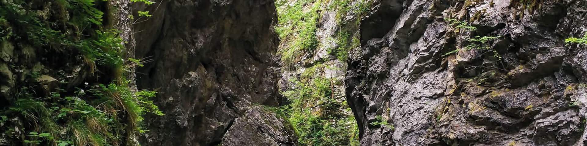 Vintgar Gorge