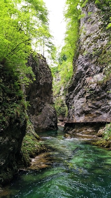 Vintgar Gorge