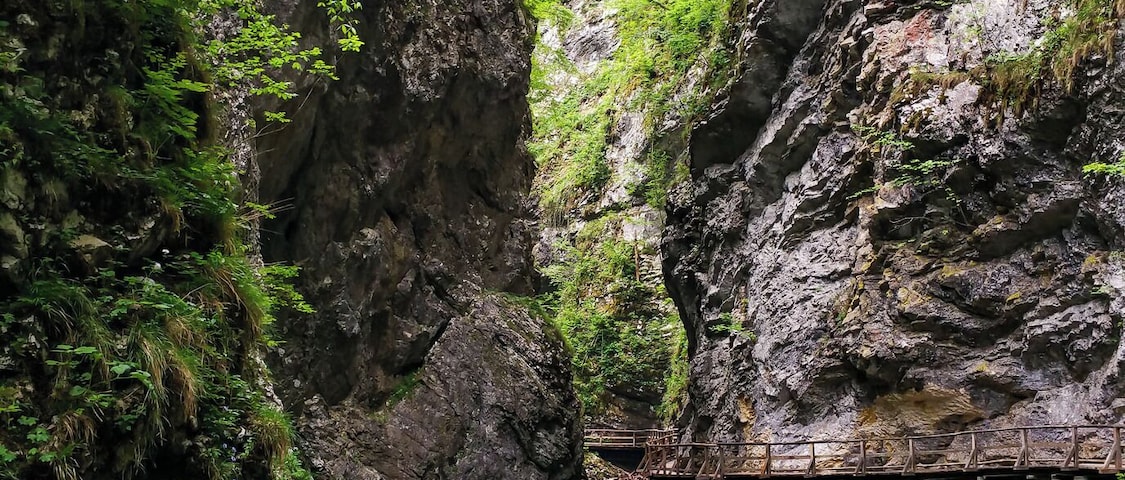 Vintgar Gorge