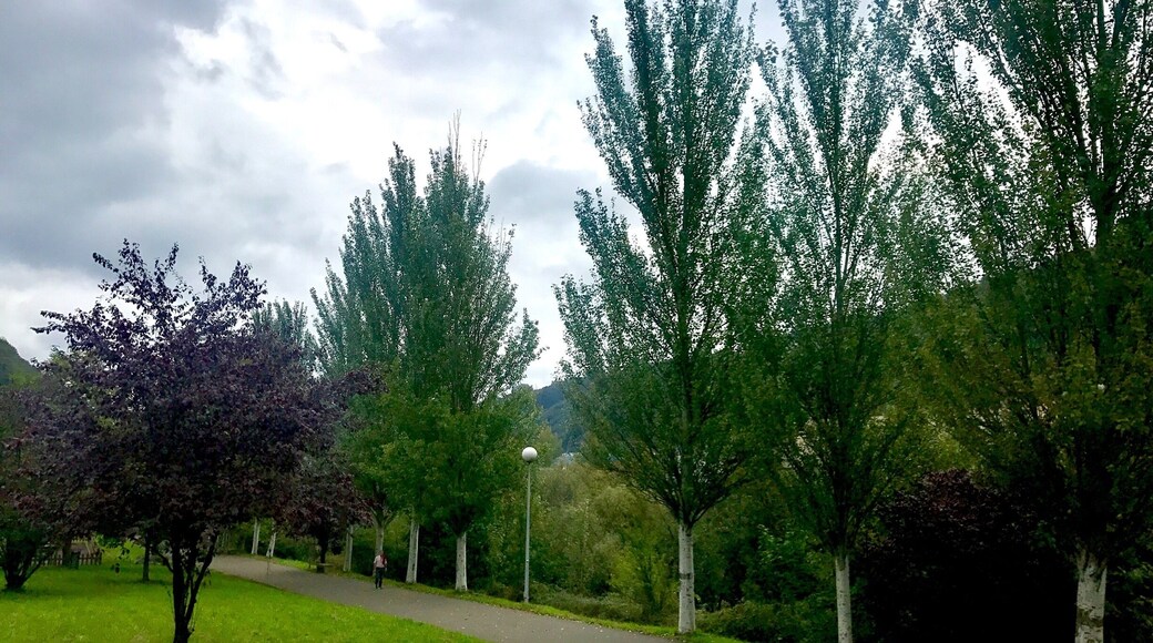 The El Salvador Road, a variant of the Saint James Road between Leon and Oviedo (Uviéu, in the Asturian language), as it passes through Mieres, on the banks of the Caudal river, in El Pedroso.