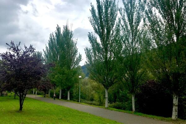 The El Salvador Road, a variant of the Saint James Road between Leon and Oviedo (Uviéu, in the Asturian language), as it passes through Mieres, on the banks of the Caudal river, in El Pedroso.