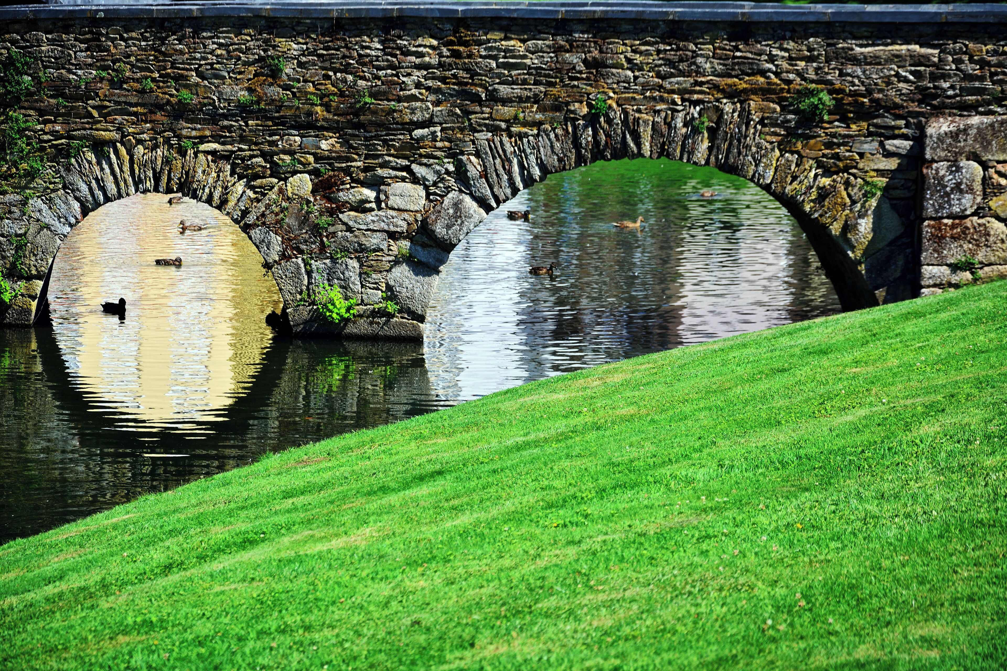 This is a photography of a Site of Community Importance in Spain with the ID: