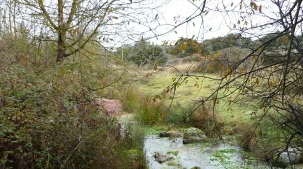 Arroyo Rivera del Campo. Se construirá un viaducto en el cruce con el arroyo.
