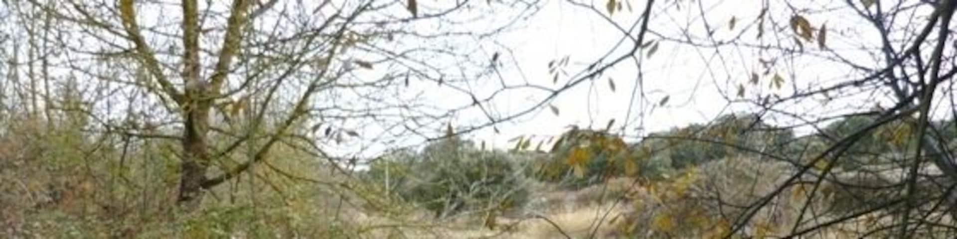 Arroyo Rivera del Campo. Se construirá un viaducto en el cruce con el arroyo.