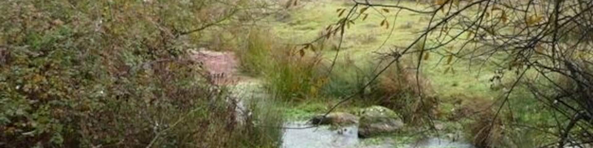Arroyo Rivera del Campo. Se construirá un viaducto en el cruce con el arroyo.
