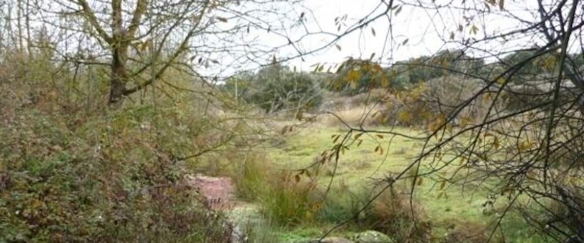 A narrow stream with rocks and vegetation on the banks, surrounded by trees and a grassy field.