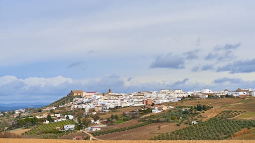 Montilla