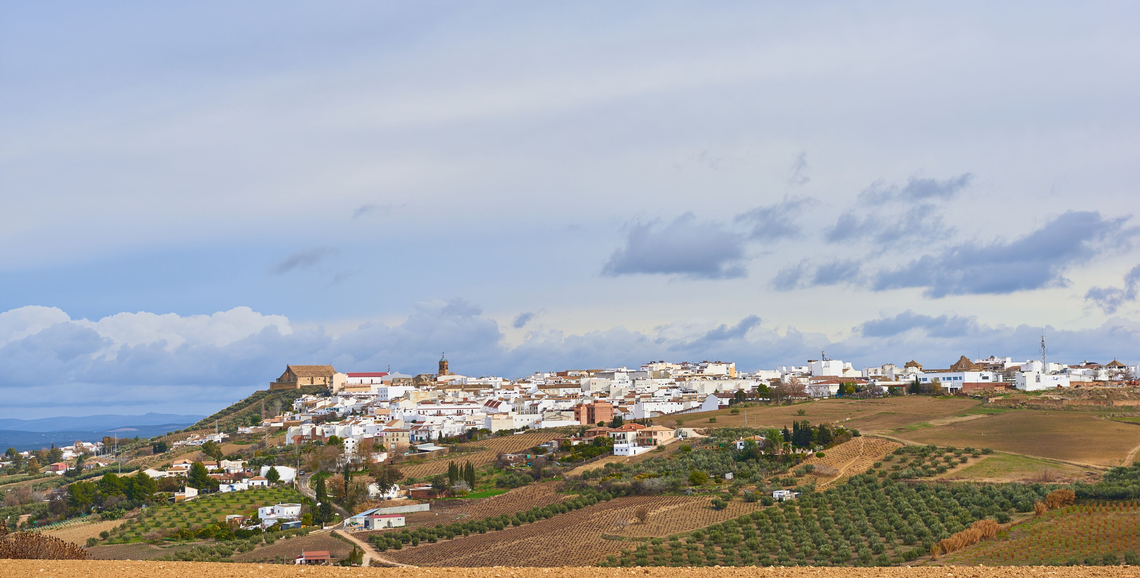 A coastal town with white buildings, terraced vineyards, and a prominent church on a hill.