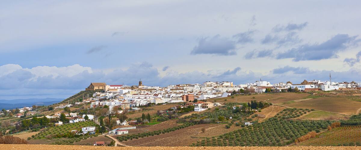 A coastal town with white buildings, terraced vineyards, and a prominent church on a hill.