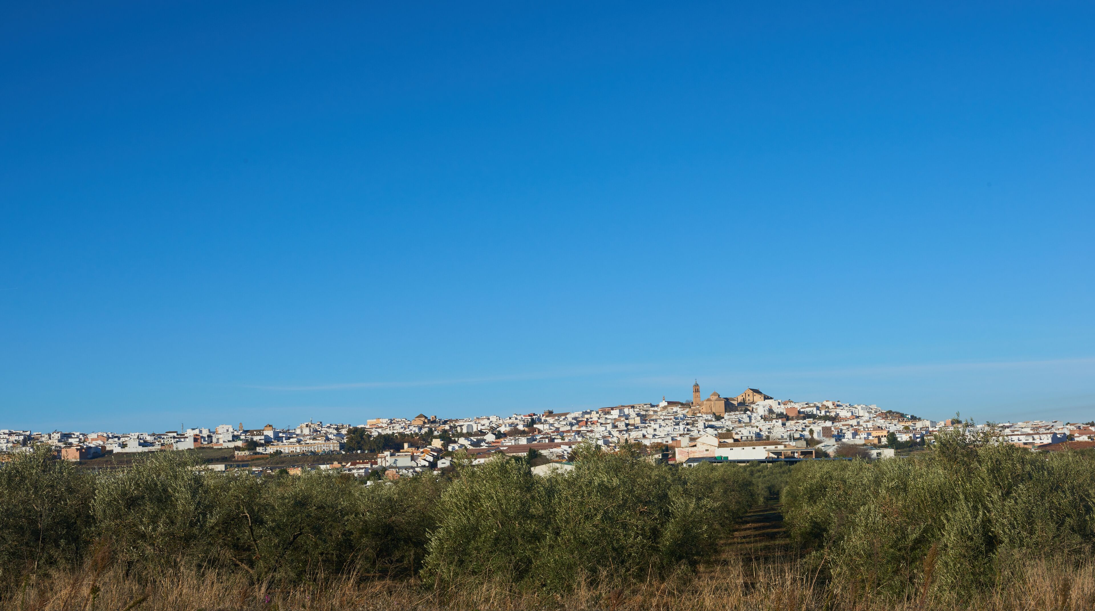Montilla
