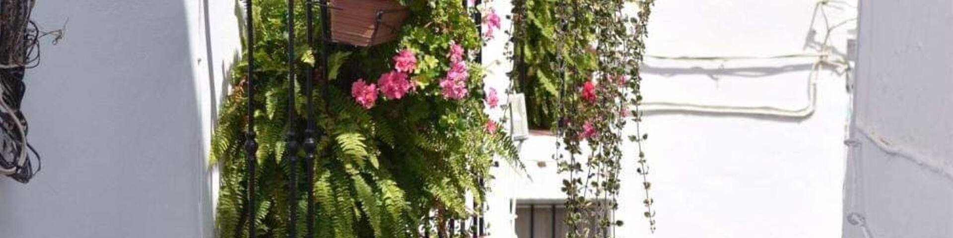 Spanish side street x