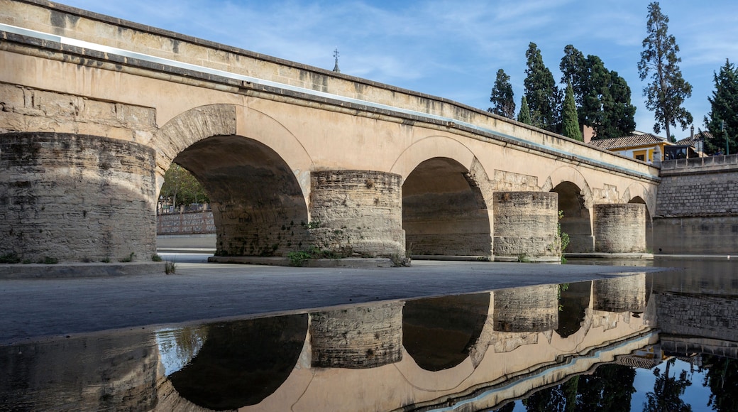 Puente romano the roman bridge of Granada